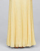 Close-up of the fine pleated maxi skirt
