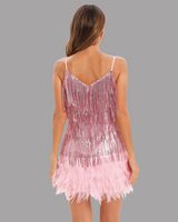 Shayna Mini Dress