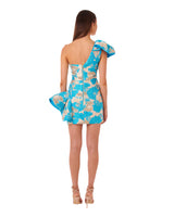 Liliana Mini Dress