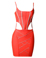Delaney Mini Dress