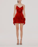 Payten Mini Dress
