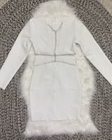 Aliana Mini Dress