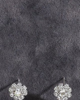 Earring pair detail